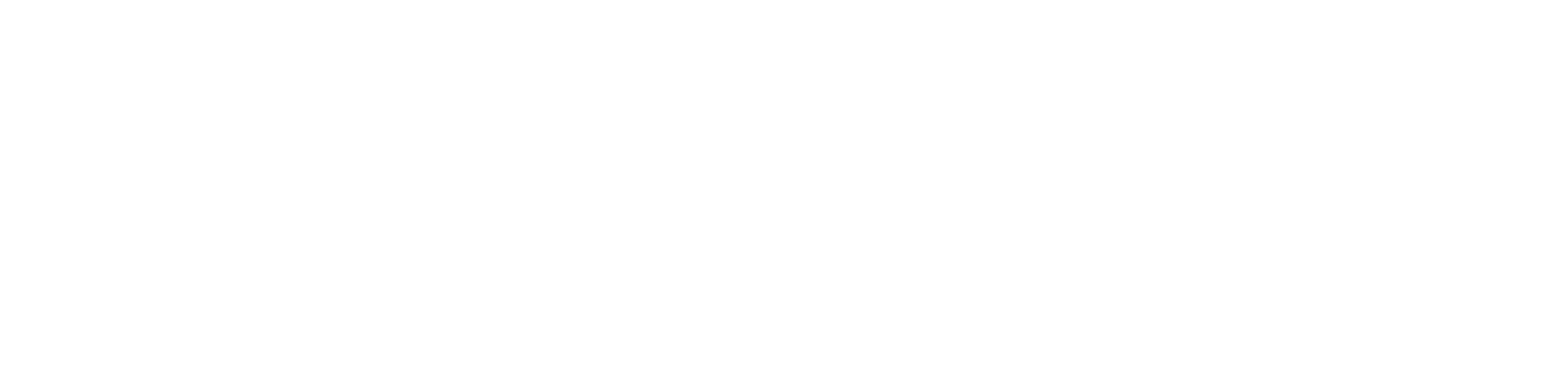 brieucLM – drone